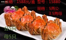 蘇州食品飲料產(chǎn)業(yè)鏈全解析 從源頭到餐桌的完整生態(tài)